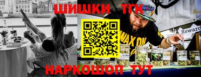 индика Нягань