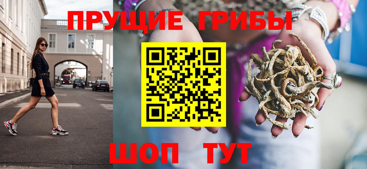 Галлюциногенные грибы Psilocybe Татарск